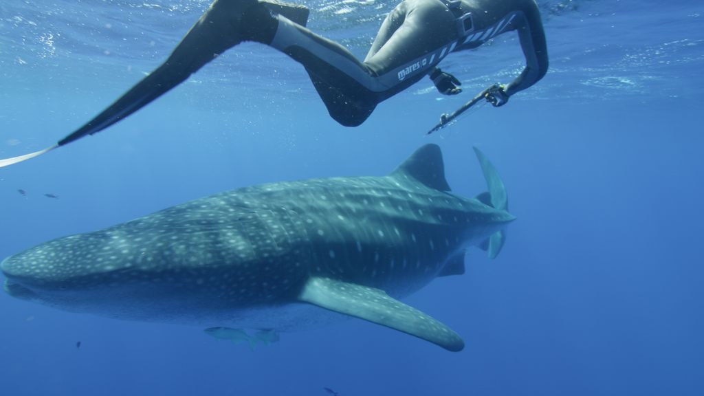 5470d686-e4ee-420f-992b-26fa49e3560b