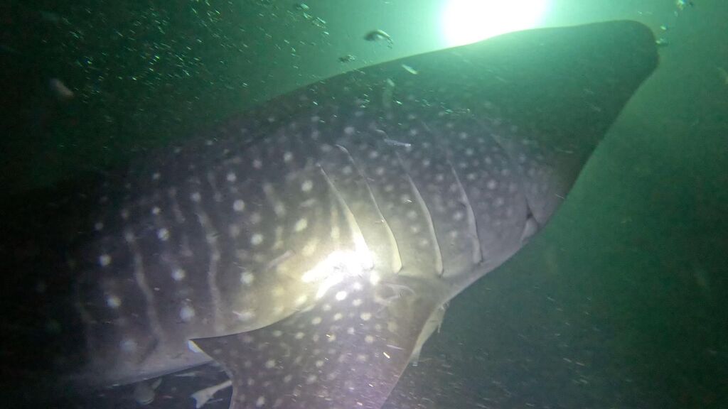 8fddff22-56a8-4711-9a7f-37040d7b5dce