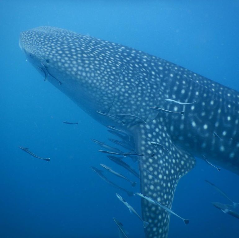 86c2d47e-718b-475e-82ed-43d80ccbcffa