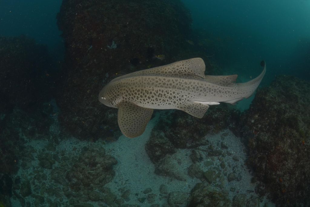 50aca0cc-6c48-4efe-aeca-a22429c3fad2