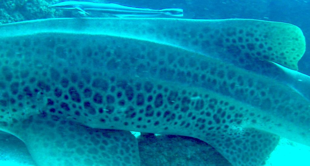 3d482080-3e40-42b1-8c47-afc025be04ed