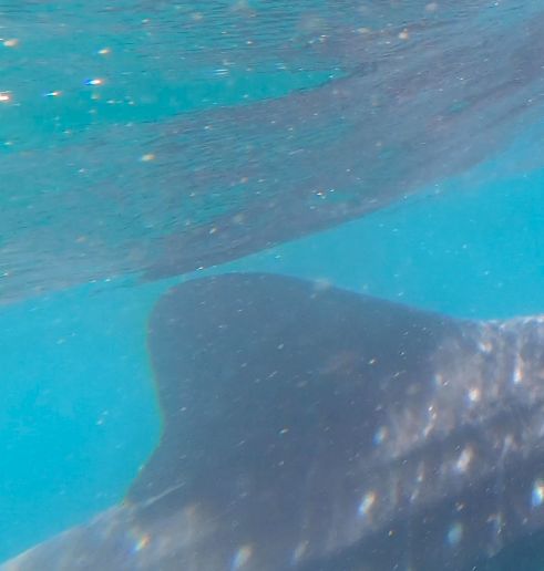 6294a811-f949-4d51-92a6-20cd55e8d5fe