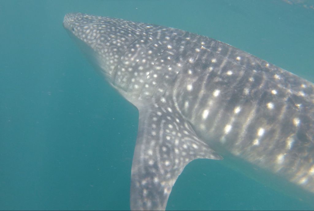 0e24d577-45d6-46aa-a4c5-7b79625432d3