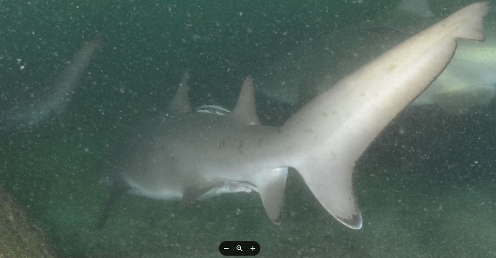 a5345245-842c-4da9-b3d0-be82f33e3660