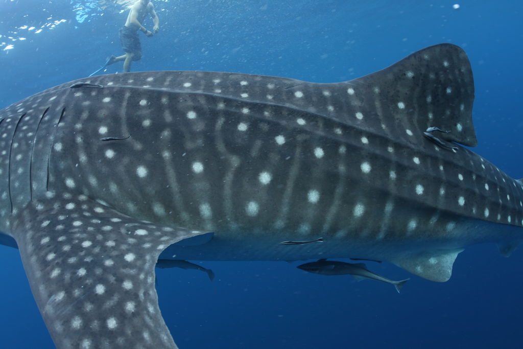 09f41482-0931-48fb-b961-3ecacf665c67