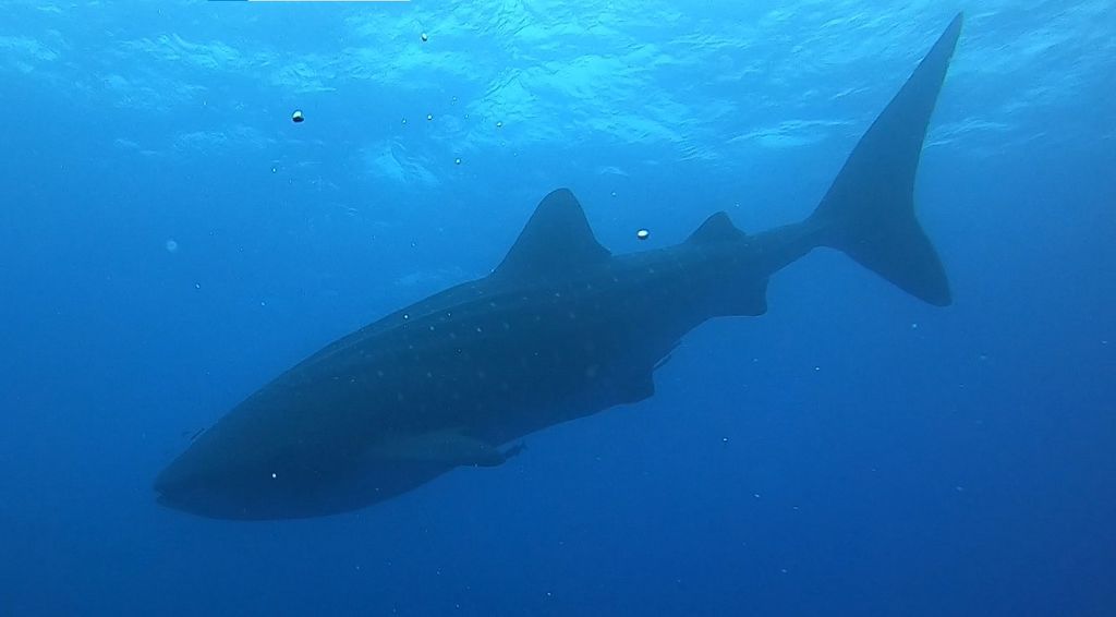 aadbcb3f-1f8b-4b84-bade-30eff7b4445d