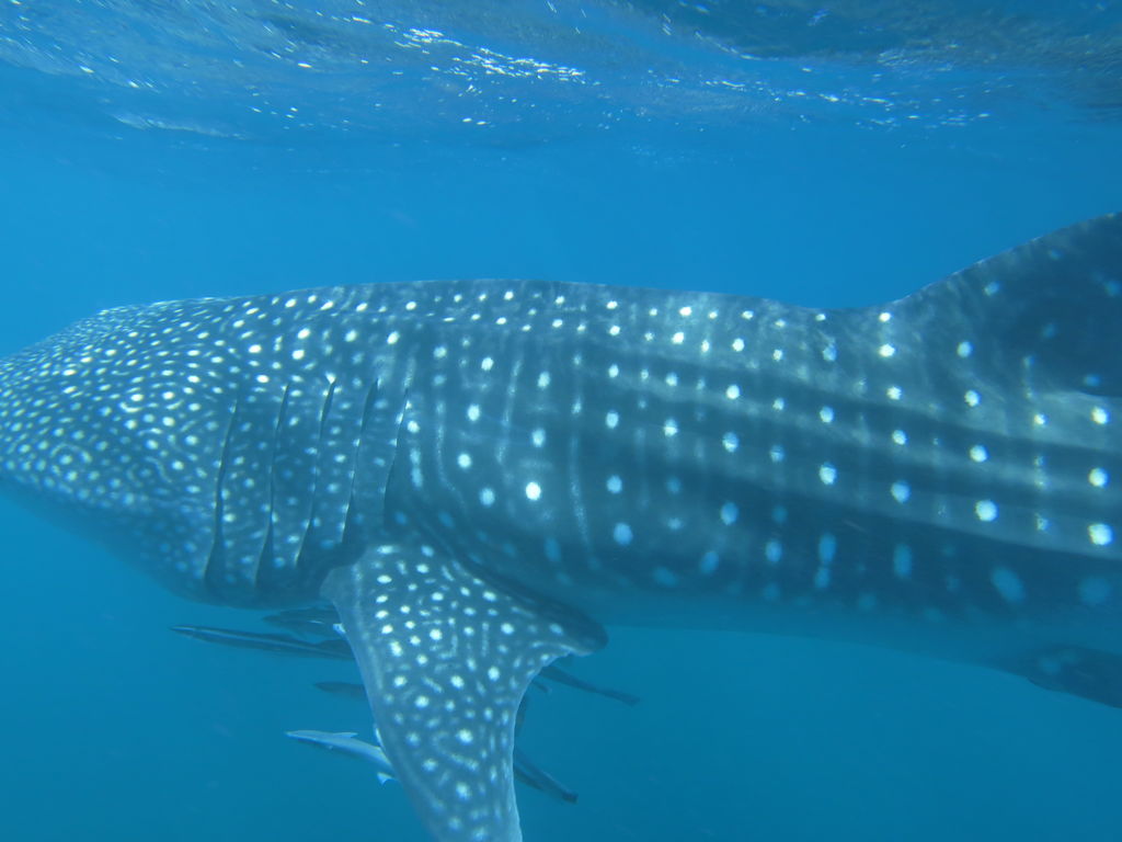 92e2d9f8-2859-4131-bddd-08a83eb2fb9d