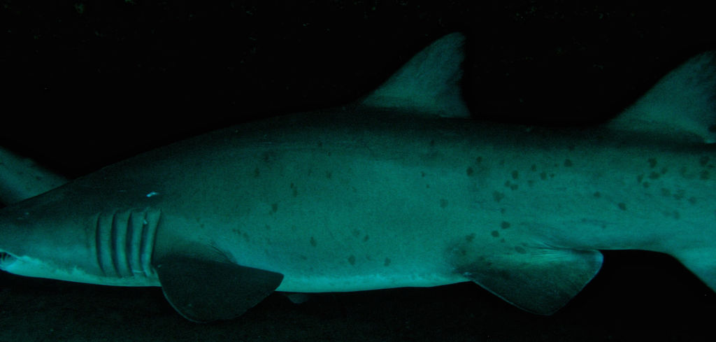 b1850550-673a-4698-9ba9-175da76e4134