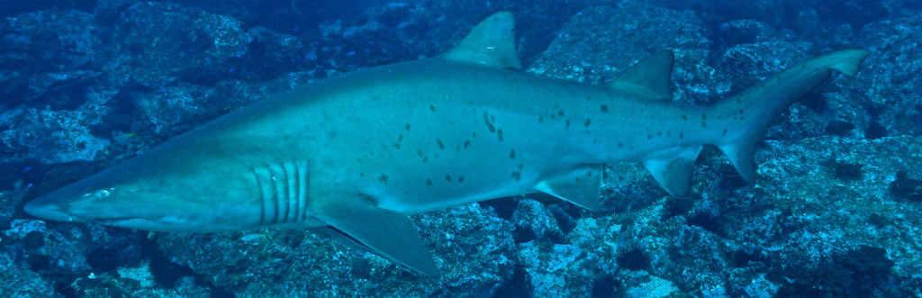 a6199459-11c3-4bd9-88c2-de3b7c5ffb55