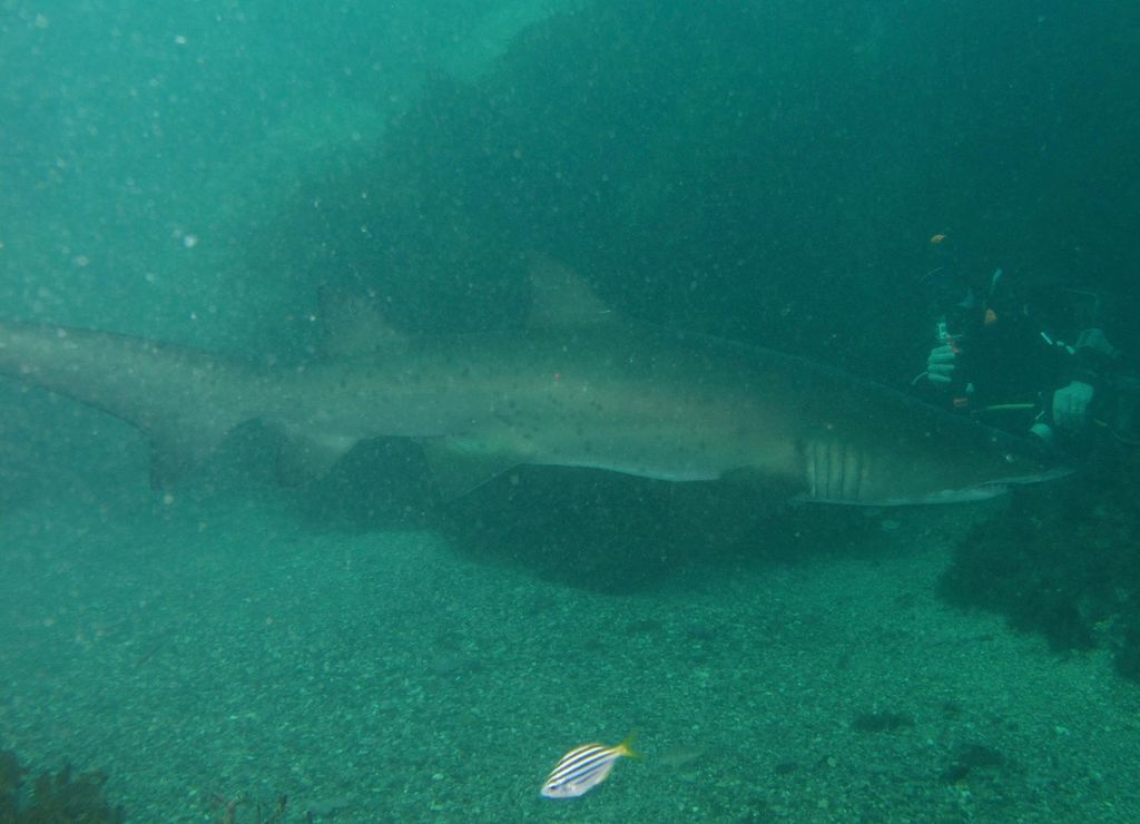 9095aa25-bf24-46d5-8c1a-cd38b8cd1e57