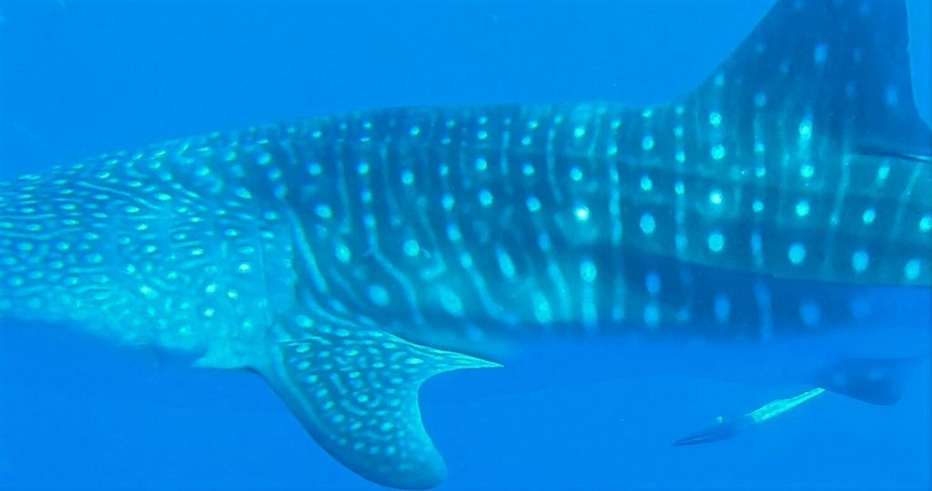 57854f65-c695-480d-8bfc-091e6343c0c3