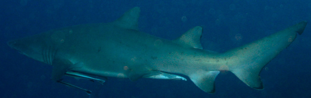 8a4694fa-8604-422f-9d4c-6b849c3d0fc7