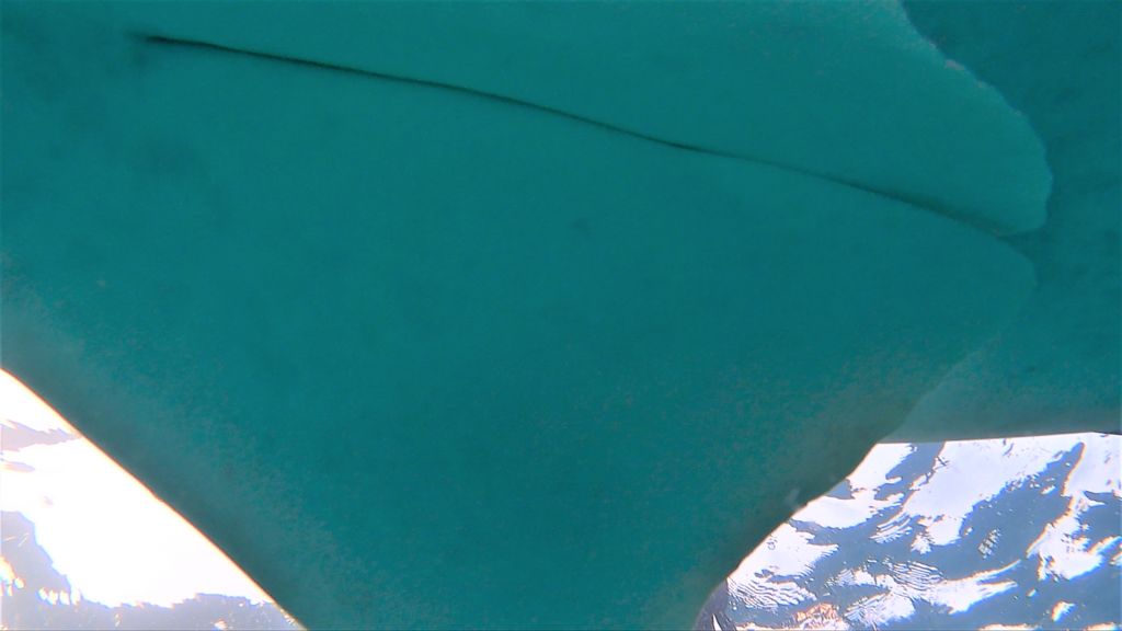 5586ac6d-4946-4f14-8f5a-9e08c20acf65