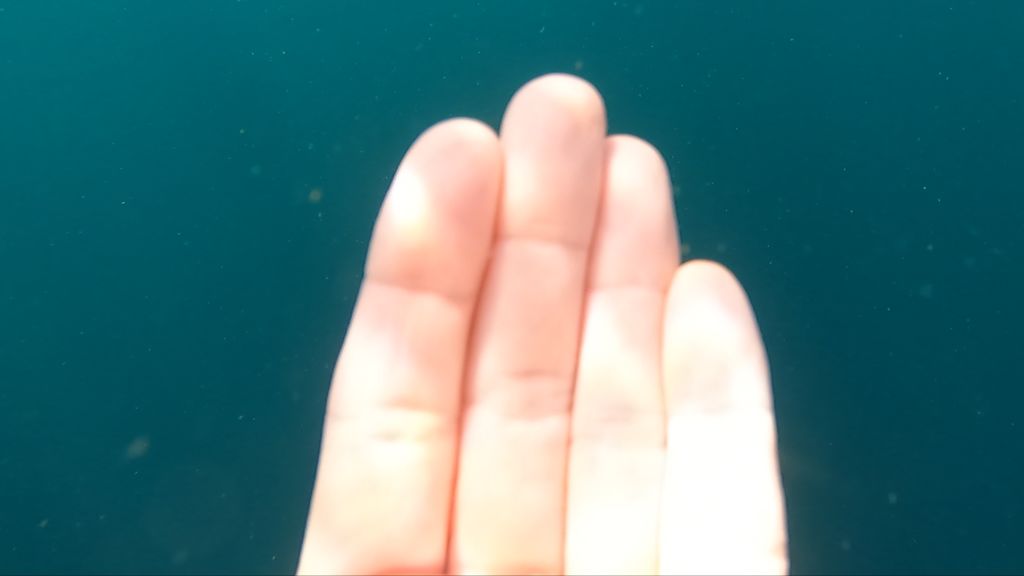 5586ac6d-4946-4f14-8f5a-9e08c20acf65