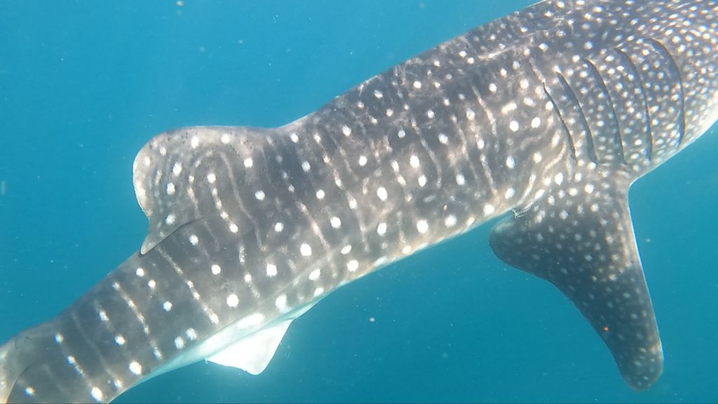 5586ac6d-4946-4f14-8f5a-9e08c20acf65