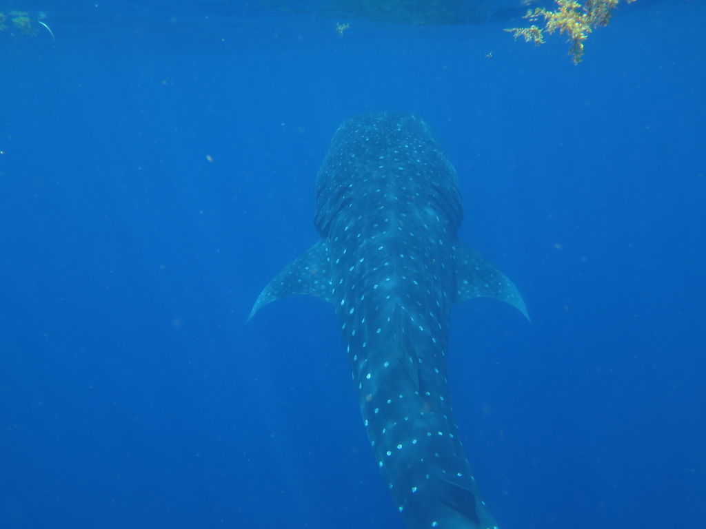 057d7457-9132-4b60-8713-3c6cad0b0630