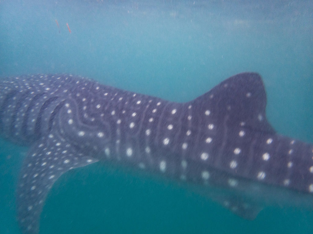 e0f2bdfe-923f-45e9-8b0e-6560e11e4f6d