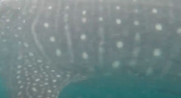 1973e462-c8cc-4b9f-b1cf-458e0be58d8c