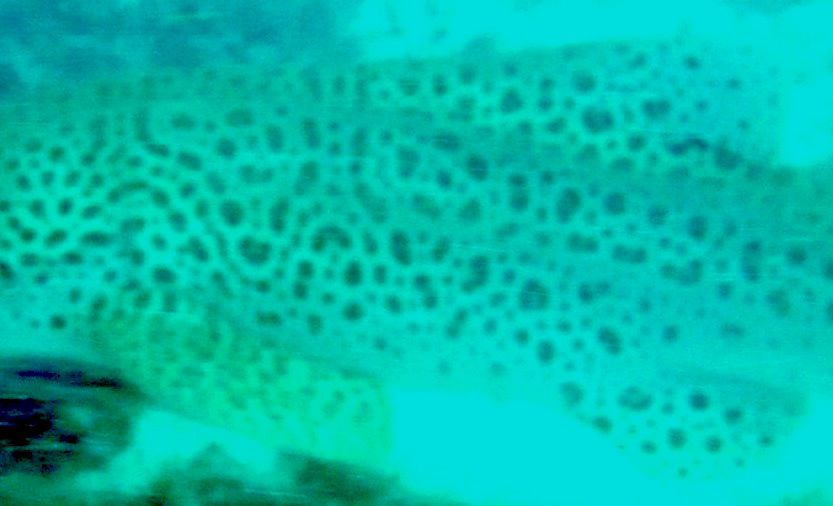 5e46f8a2-73f3-4792-97eb-9fac218ceac6