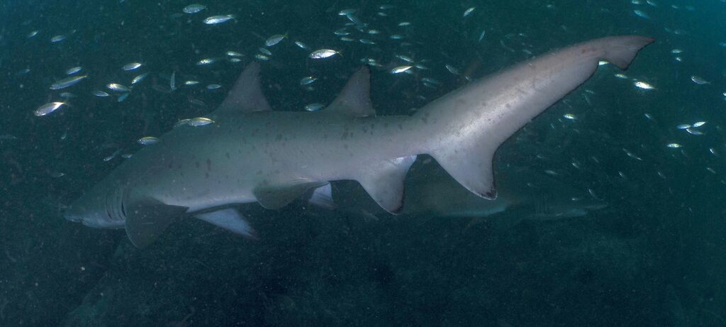 36074ac6-f211-4530-9221-7e520108641c