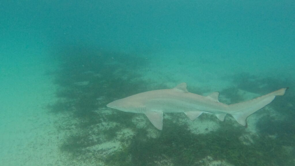 2dd01560-adc1-484c-bb6d-ac0c6d096335