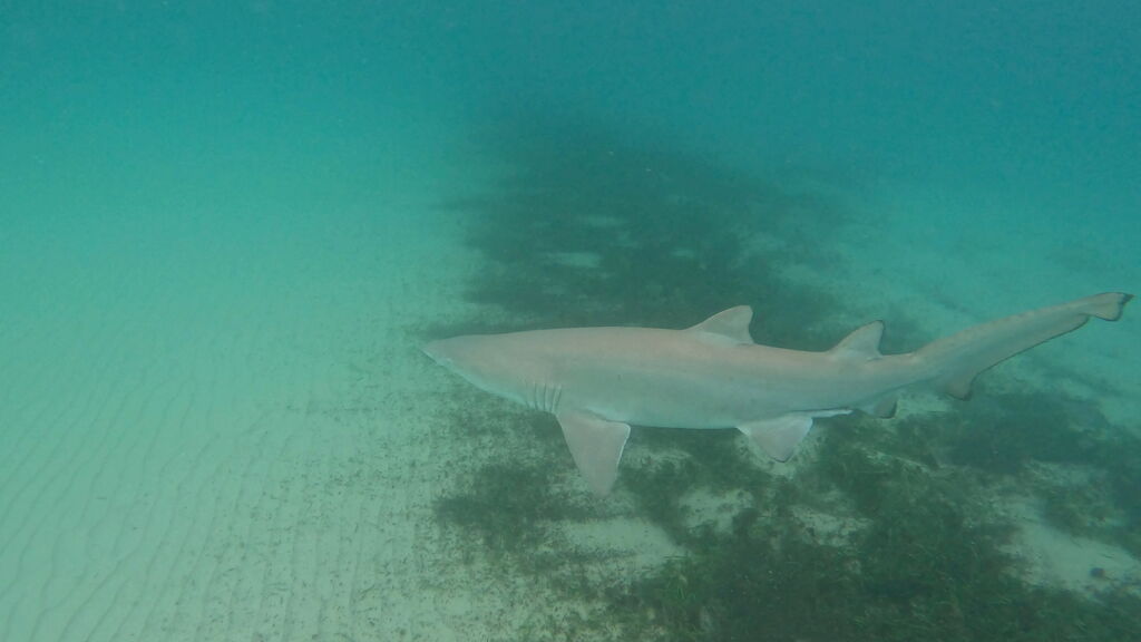 2dd01560-adc1-484c-bb6d-ac0c6d096335