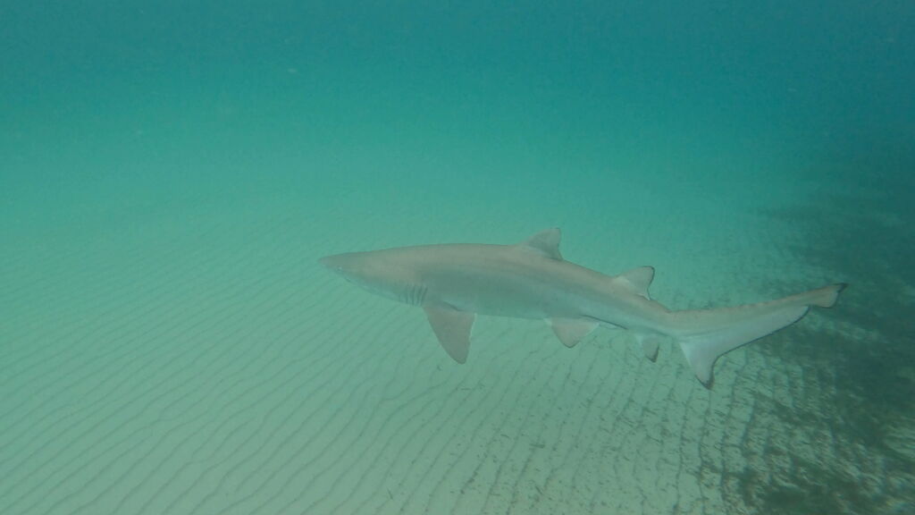 2dd01560-adc1-484c-bb6d-ac0c6d096335