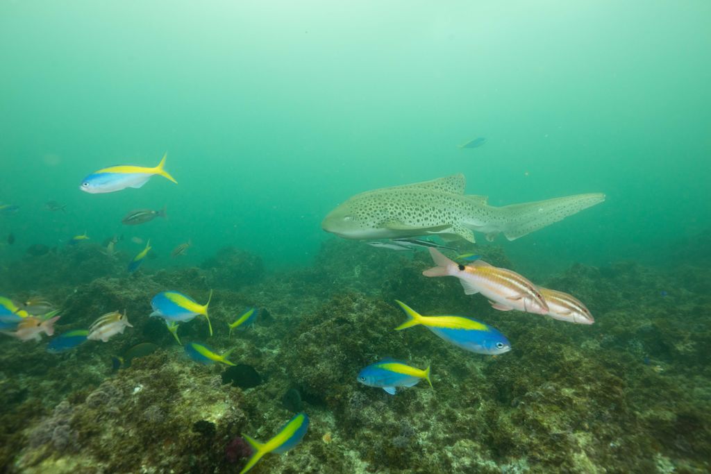 ab2154be-df6d-4f5f-b5ce-c307f40639e5