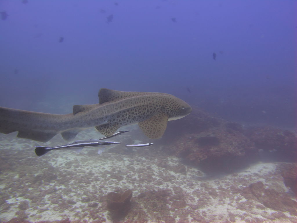 5ad44a49-3b55-49be-97c8-08bbcdb78977