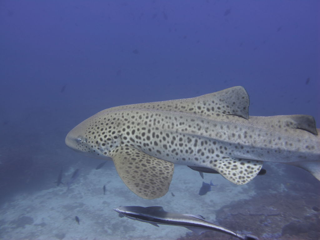 5ad44a49-3b55-49be-97c8-08bbcdb78977