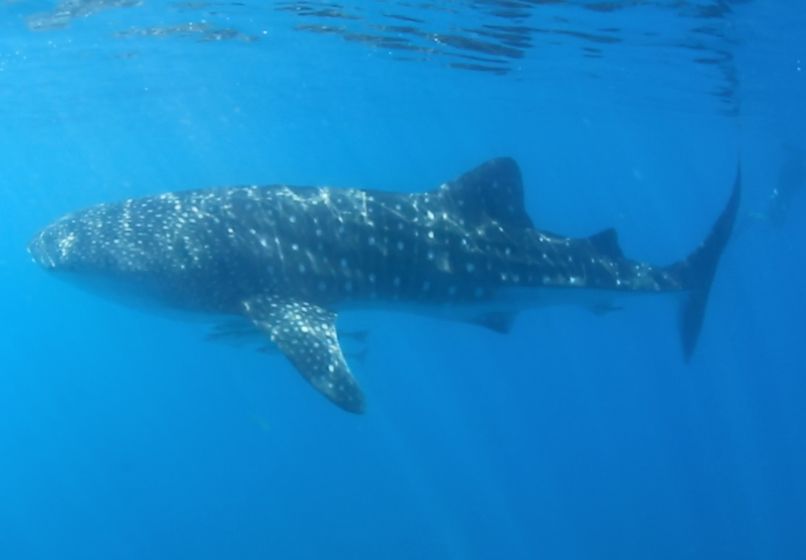 42069554-dd92-495b-af82-5e7901c4d411