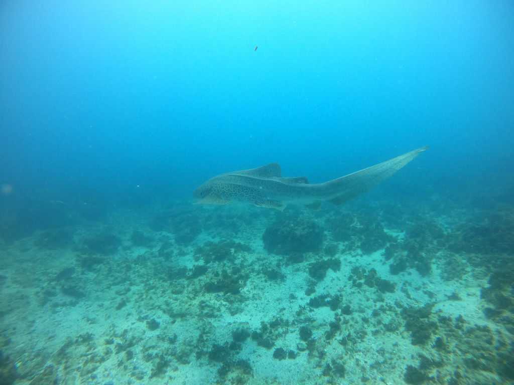 63a2f205-8804-4fcd-a2b2-41aa04b8f245