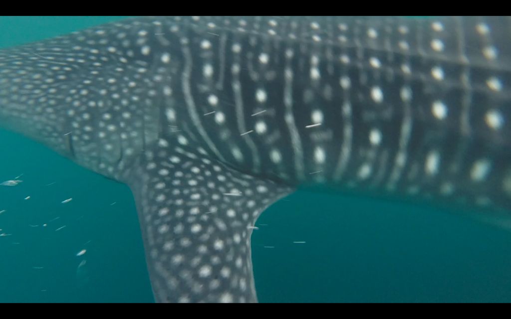 f727d270-26de-4343-bb2e-1c0015b27456