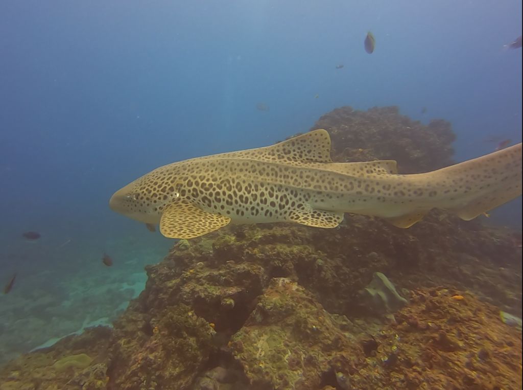 96d42ae0-070c-4441-9aa6-2c2a3b5422b9