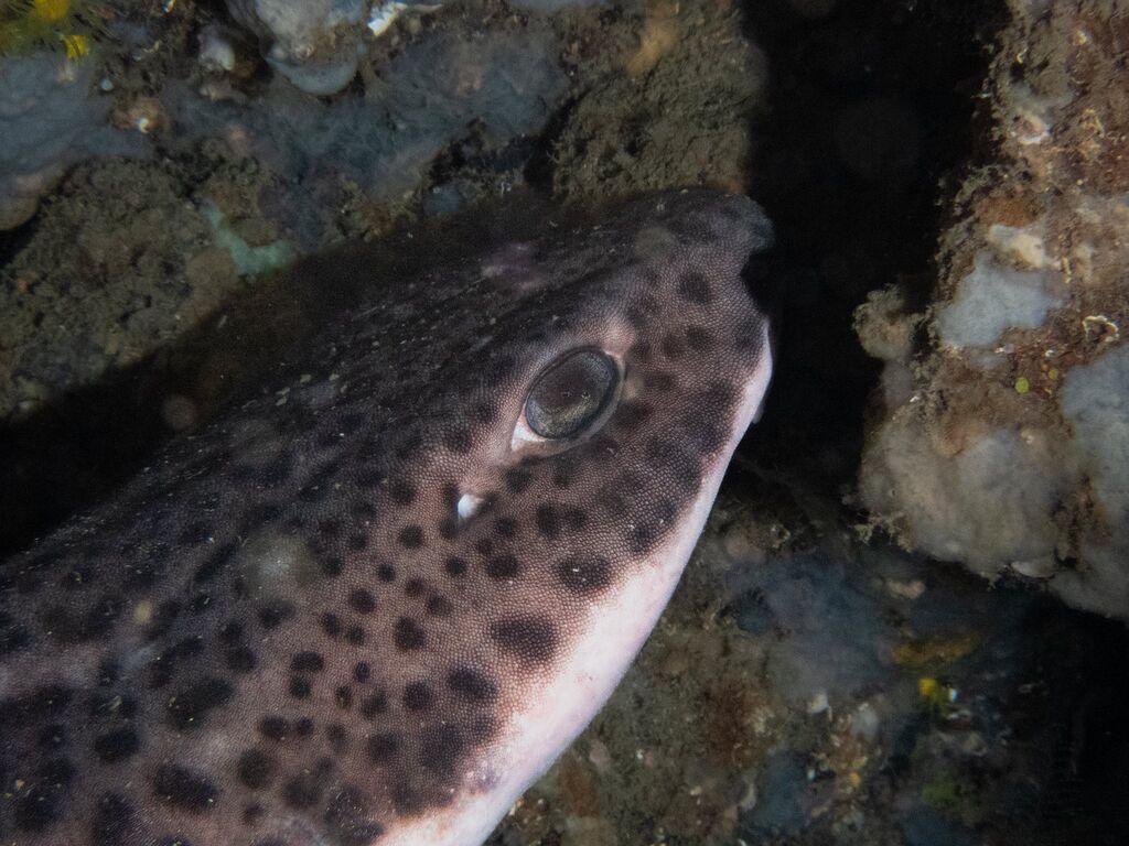 021b3d33-9215-4c67-98e3-5d4fe8a0878f