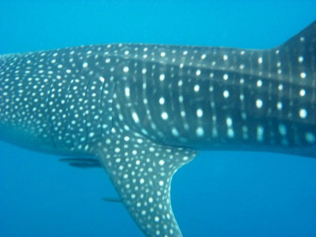 8d5566b7-0bc0-4e45-97cc-8dbd2aa9fc99