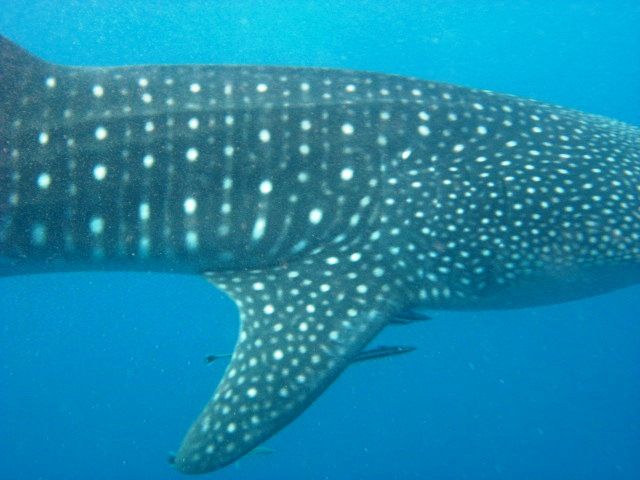 8d5566b7-0bc0-4e45-97cc-8dbd2aa9fc99