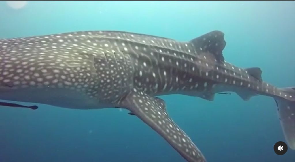 b00b6d53-4e16-4432-b798-67b3e0d5b733