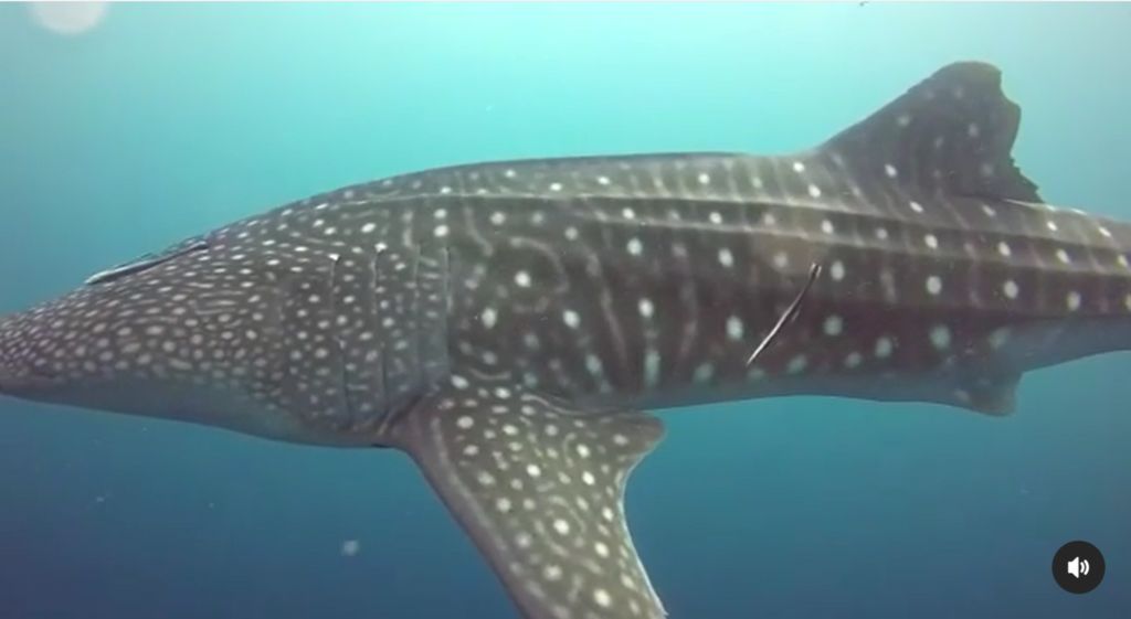 b00b6d53-4e16-4432-b798-67b3e0d5b733