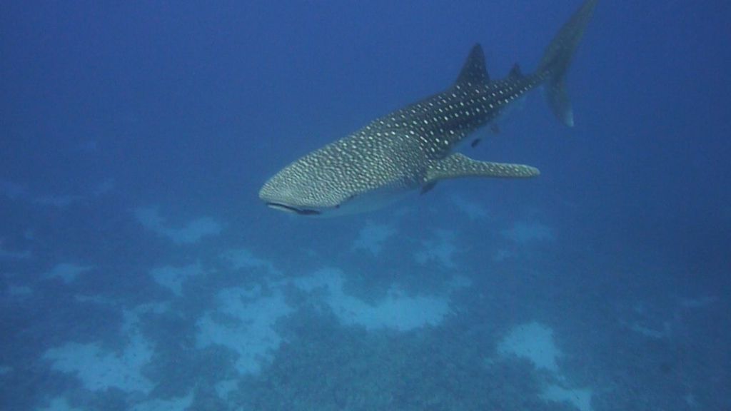 e8b5e764-39aa-4b67-b189-ad487725e442