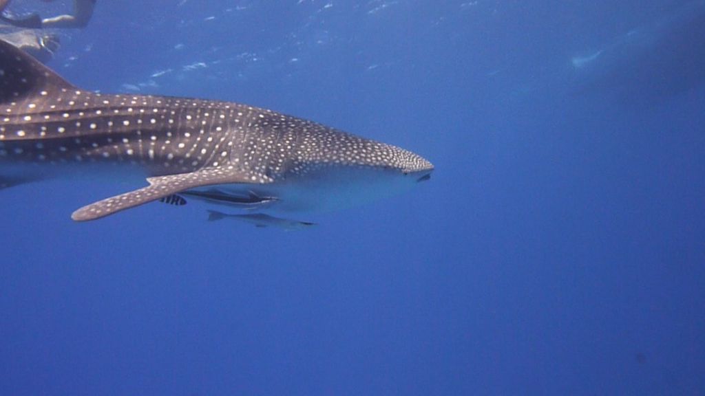 e8b5e764-39aa-4b67-b189-ad487725e442