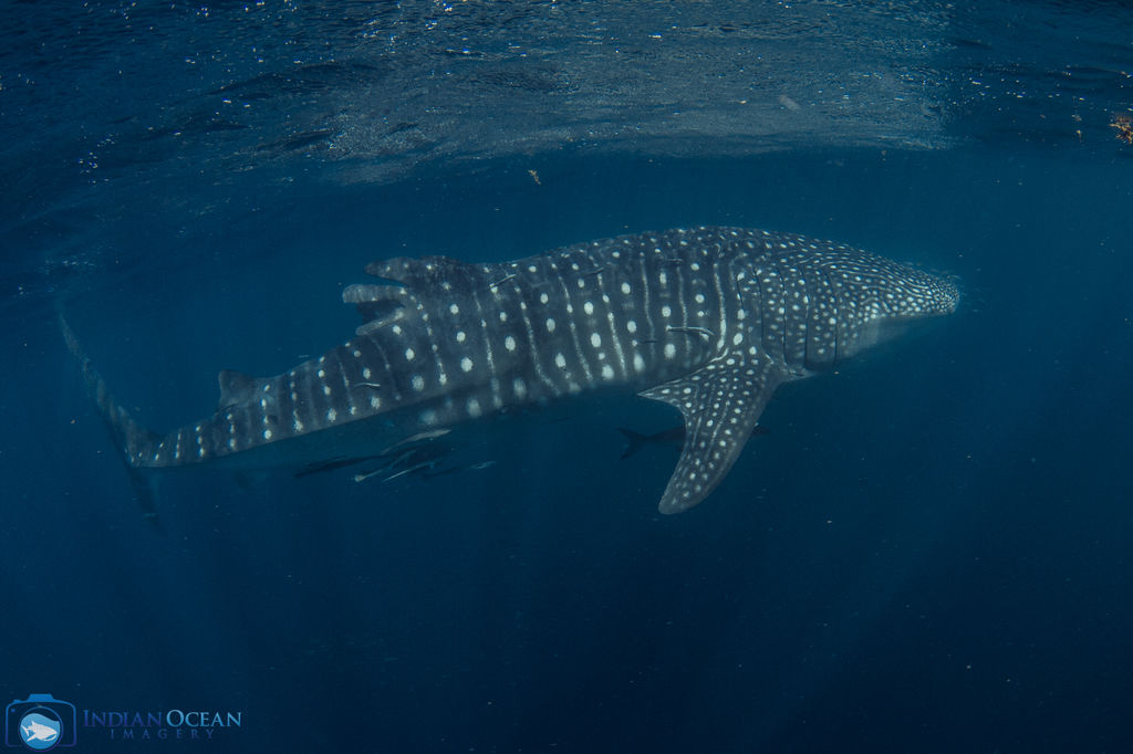 63bc75fd-75e8-430b-9ef7-9ff5a3fe0777