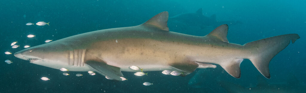 1fa051fd-0834-4f8f-b404-b950413a858e