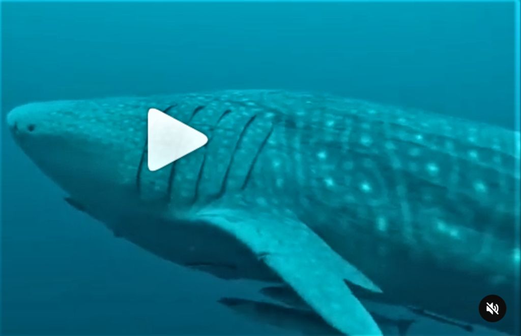 5b148832-8024-44c5-b1e4-a368865954b8