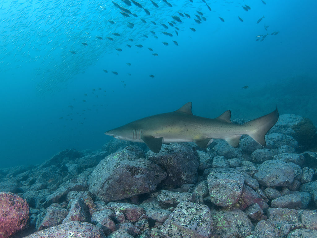 2750fe7f-ea21-4ec2-b68a-300459d87b1e