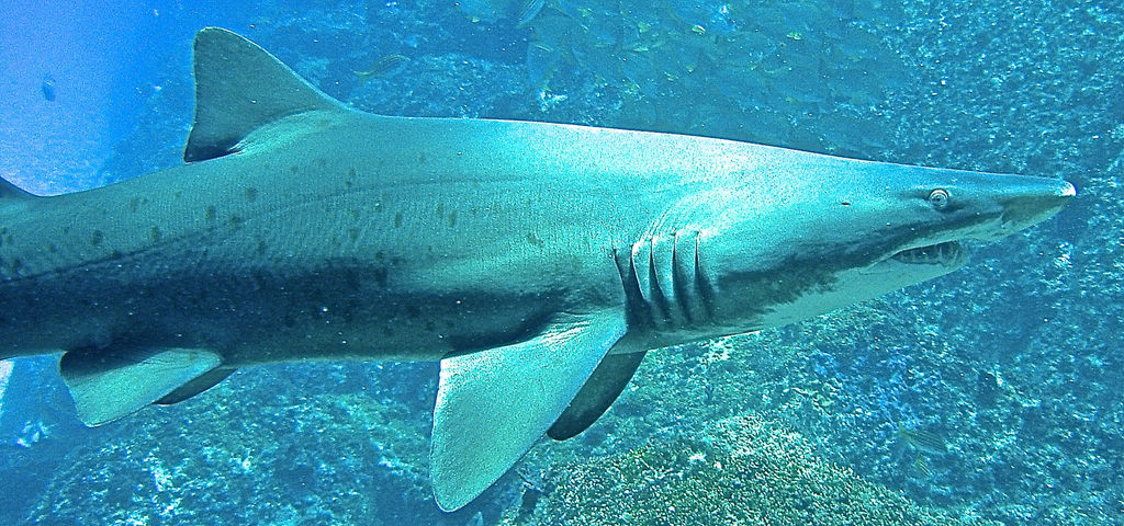 50505999-ed94-4d3d-9830-5d46078cdc2e