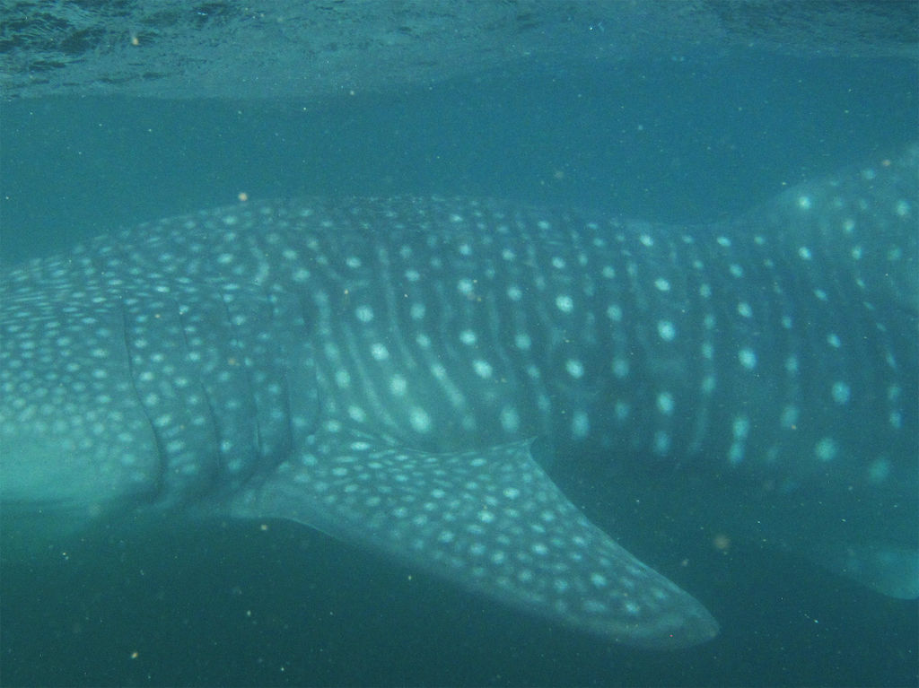 d310297e-05fe-4613-a0b2-717e290a3cfb