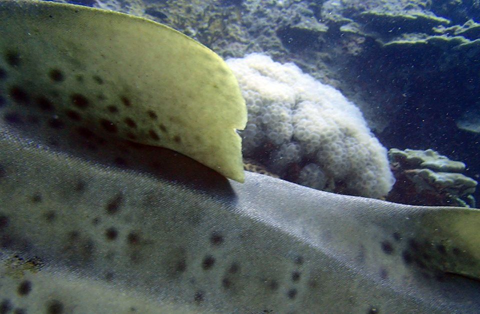 dbfdf809-256c-46f5-b79e-5b46e59baf15