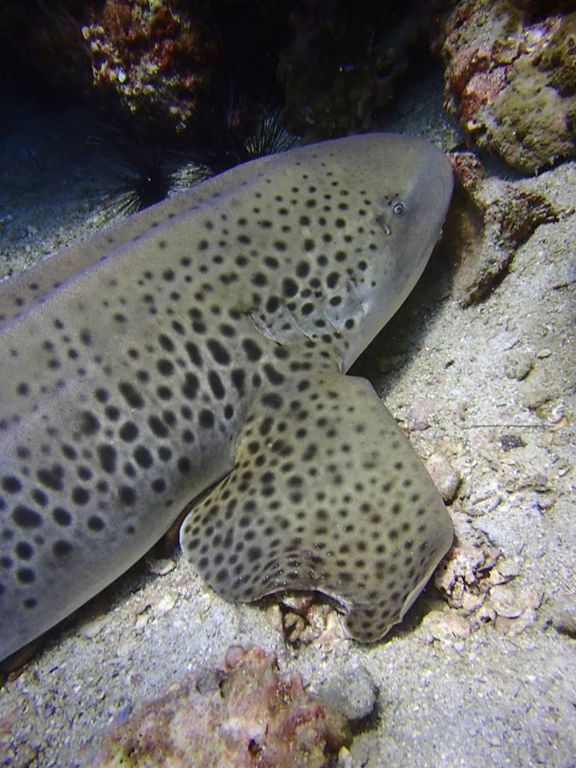 dbfdf809-256c-46f5-b79e-5b46e59baf15