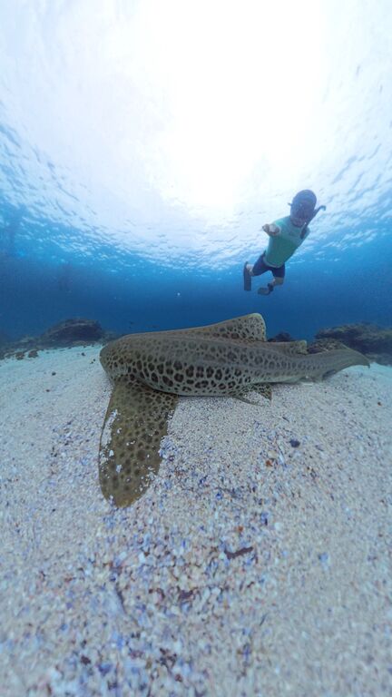 3af54e77-5319-4352-8e7d-d25c959ee0d3